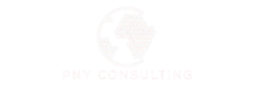 PNY Consulting